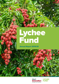 2019 20 Lychee Annual Report cover