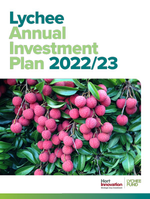 2022 23 Lychee Annual Investment Plan cover