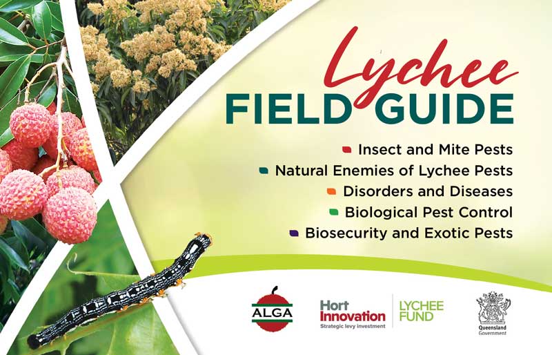Lychee Field Guide cover